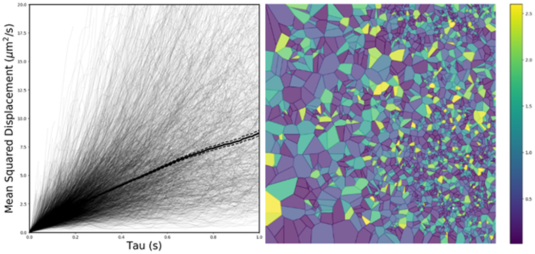 Sample output from diff_classier visualization tools